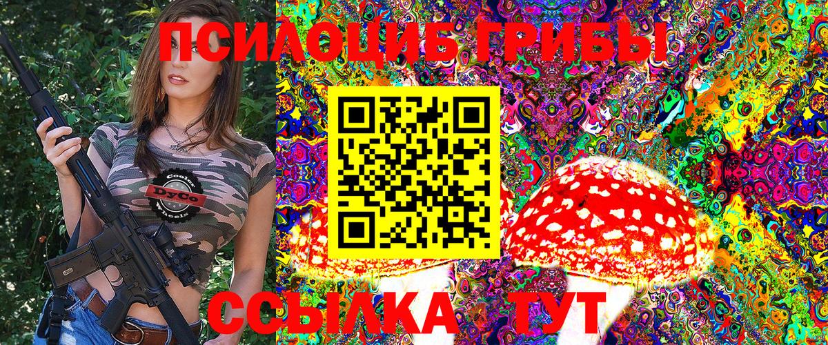 Галлюциногенные грибы Psilocybe Клинцы